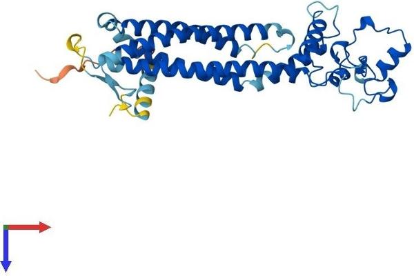 PRPH2 Protein (AA 1-346) (His tag)