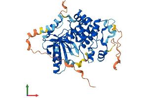 Protein Structure (PS) image for Mitogen-Activated Protein Kinase Kinase 2 (MAP2K2) (AA 1-401) protein (His tag) (ABIN7557800)