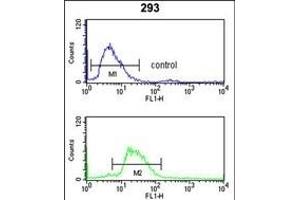 LRG1 Antibody (Center) (ABIN390660 and ABIN2840956) flow cytometry analysis of 293 cells (bottom histogram) compared to a negative control cell (top histogram). (LRG1 Antikörper  (AA 194-223))