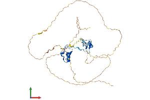 AlphaFold protein structure predicition of Mouse Recombinant Gata5 Protein, UniprotID P97489
