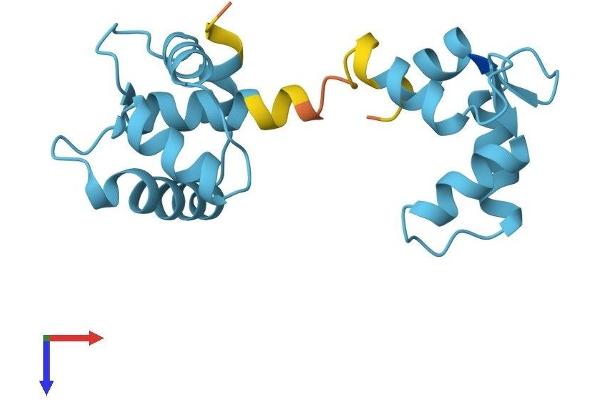 TNNC1 Protein (AA 1-161) (His tag)