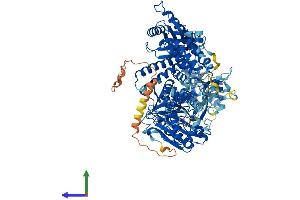 Protein Structure (PS) image for Polymerase (DNA Directed), delta 1, Catalytic Subunit 125kDa (POLD1) (AA 1-1105) protein (His tag) (ABIN7563416)
