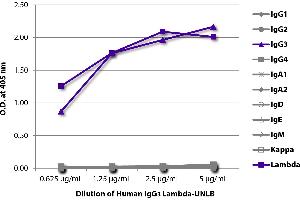 ELISA plate was coated with serially diluted Human IgG3 Lambda-UNLB and quantified. (Human IgG3 Isotyp-Kontrolle)
