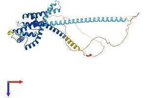 KCNK2 Protein (AA 1-426) (His tag)