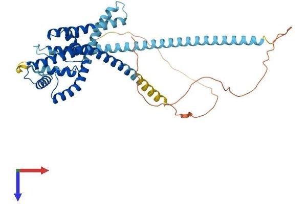 KCNK2 Protein (AA 1-426) (His tag)