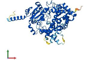 Protein Structure (PS) image for Cytochrome P450, Family 3, Subfamily A, Polypeptide 7 (CYP3A7) (AA 1-503) protein (His tag) (ABIN7546791)
