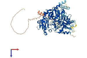 ACSBG1 Protein (AA 1-724) (His tag)