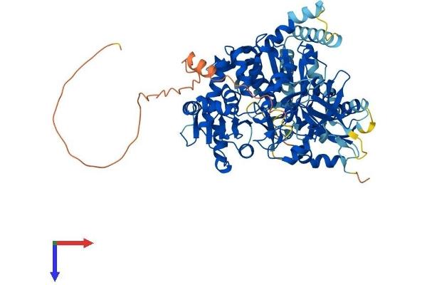 ACSBG1 Protein (AA 1-724) (His tag)