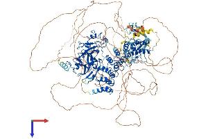 EHMT1 Protein (AA 1-1296) (His tag)