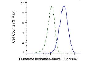 Validation of Fumarate hydratase knockdown using flow cytometry. (FH Antikörper)