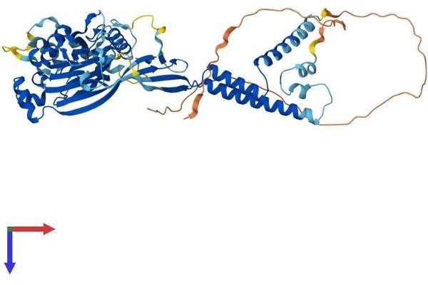 ACCN4 Protein (AA 1-539) (His tag)