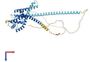 KCNK2 Protein (AA 1-426) (His tag)