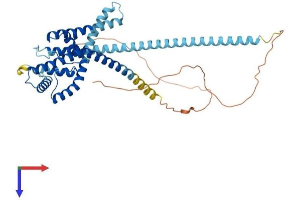 KCNK2 Protein (AA 1-426) (His tag)