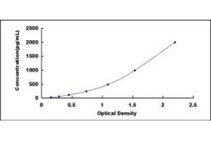 Typical standard curve (EEF1G ELISA Kit)