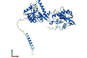 Protein Structure (PS) image for Fukutin Related Protein (FKRP) (AA 1-495) protein (His tag) (ABIN7547666)