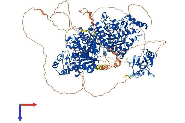 HDAC6 Protein (AA 1-1215) (His tag)