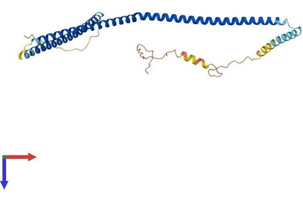 CCDC83 Protein (AA 1-305) (His tag)