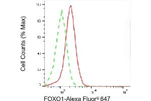 Flow cytometric analysis of FOXO1 expression in HepG2 cells using FOXO1 antibody (ABIN7798643), 1:2,000). (Rekombinanter FOXO1 Antikörper)