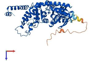 SEPSECS Protein (AA 1-501) (His tag)