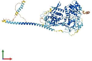 Protein Structure (PS) image for Exostoses (Multiple)-Like 3 (EXTL3) (AA 1-918) protein (His tag) (ABIN7565247)