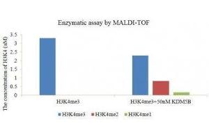 Recombinant JARID1B / KDM5B enzymatic assay.