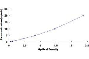 Typical standard curve (TOP2 ELISA Kit)