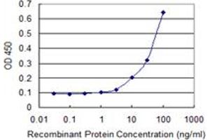 Detection limit for recombinant GST tagged MKNK1 is 1 ng/ml as a capture antibody. (MKNK1 Antikörper  (AA 1-465))