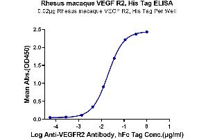ELISA image for VEGF Receptor 2 (VEGFR2) (AA 20-764) protein (His tag) (ABIN7275831)