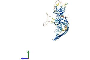 Protein Structure (PS) image for Tripartite Motif Containing 36 (TRIM36) (AA 1-729) protein (His tag) (ABIN7558390)