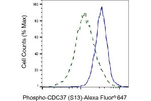 Validation of CDC37 knockdown using flow cytometry. (Rekombinanter CDC37 Antikörper  (pSer13))