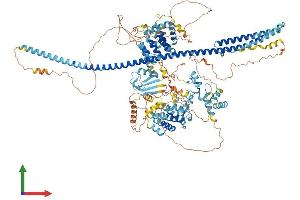 Protein Structure (PS) image for DAZ Interacting Protein 3, Zinc Finger (DZIP3) (AA 1-1204) protein (His tag) (ABIN7564202)