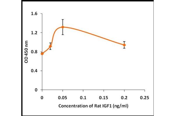 IGF1 Protein