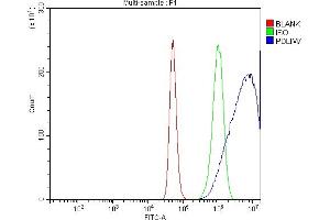 Flow Cytometry analysis of A431 cells using anti-PDLIM7 antibody (ABIN7601048). (PDLIM7 Antikörper  (AA 275-457))