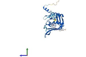 Protein Structure (PS) image for Ribosome Production Factor 2 Homolog (RPF2) (AA 1-306) protein (His tag) (ABIN7561573)