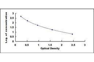 ELISA image for Vasoactive Intestinal Peptide (Vip) ELISA Kit (ABIN1383606)