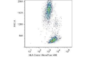 Surface staining of human peripheral blood cells with anti-HLA-class I(W6/32) Alexa Fluor® 488. (MICA Antikörper  (Biotin))
