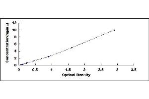 Typical standard curve (OXSR1 ELISA Kit)