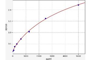 Reticulon 4 ELISA Kit