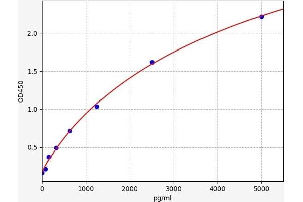 Reticulon 4 ELISA Kit