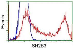HEK293T cells transfected with either RC218359 overexpress plasmid (Red) or empty vector control plasmid (Blue) were immunostained by anti-SH2B3 antibody (ABIN2454471), and then analyzed by flow cytometry. (SH2B3 Antikörper)