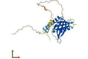 Protein Structure (PS) image for Phosphotyrosine Interaction Domain Containing 1 (PID1) (AA 1-217) protein (His tag) (ABIN7557162)