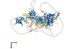 PRKD3 Protein (AA 1-889) (His tag)