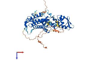 SAC3D1 Protein (AA 1-427) (His tag)