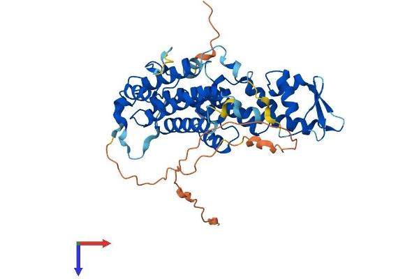 SAC3D1 Protein (AA 1-427) (His tag)