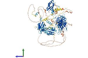 Protein Structure (PS) image for RNA Binding Motif Protein 19 (RBM19) (AA 1-960) protein (His tag) (ABIN7551290)