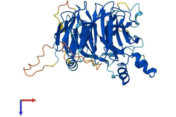 WSB1 Protein (AA 1-421) (His tag)