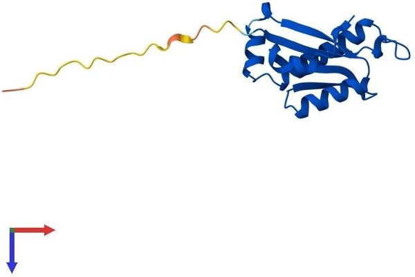 PTRHD1 Protein (AA 1-140) (His tag)
