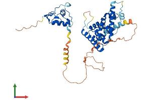 Protein Structure (PS) image for Nuclear Receptor Subfamily 2, Group E, Member 1 (NR2E1) (AA 1-385) protein (His tag) (ABIN7549872)