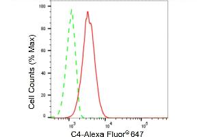 Flow cytometric analysis of C4 expression in C2C12 cells using C4 antibody (ABIN7798134), 1:2,000). (Rekombinanter Complement C4 Antikörper)