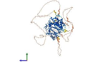 AlphaFold protein structure predicition of Mouse Recombinant Ppm1e Protein, UniprotID Q80TL0 (PPM1E Protein (AA 1-749) (His tag))